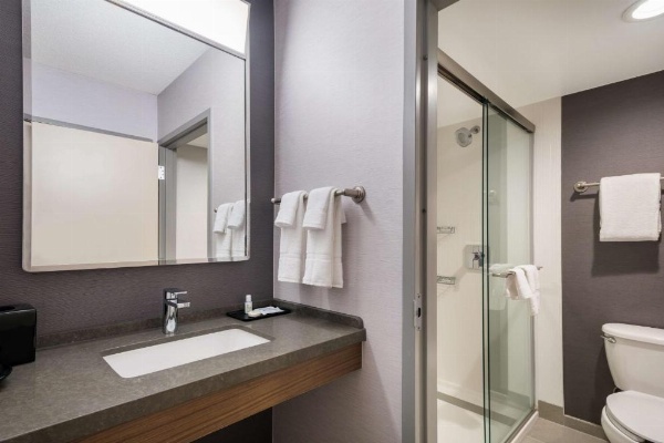 Sonesta Select San Jose Airport image 24